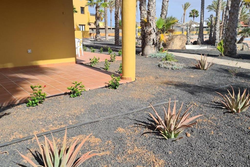 Beautiful Garden Flat Nearly Refurbished Free Wifi Appartement Corralejo Buitenkant foto